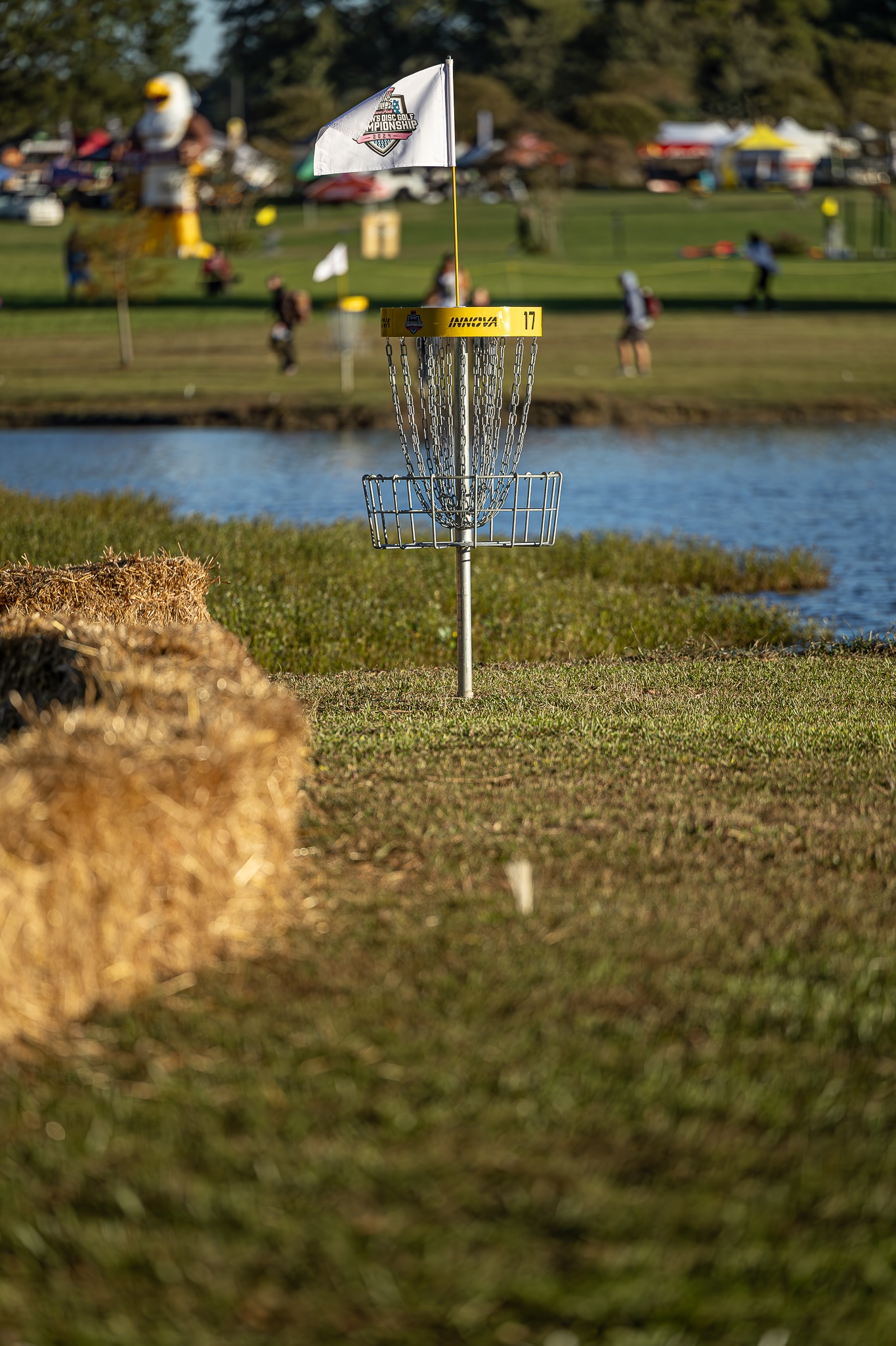 Tournament History United States Disc Golf Championship