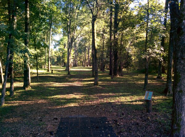 Disc Golf Hole 1