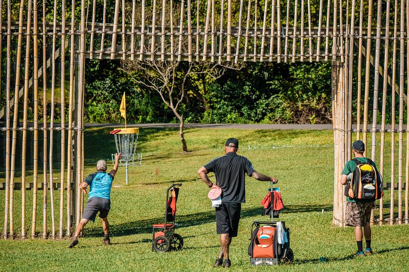 Disc Golf Bamboo Wall