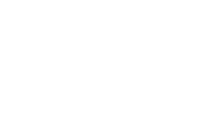 Discraft