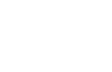 Sun King